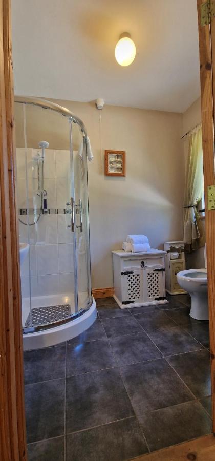 Littlefield B&B Durrow, Laois 外观 照片